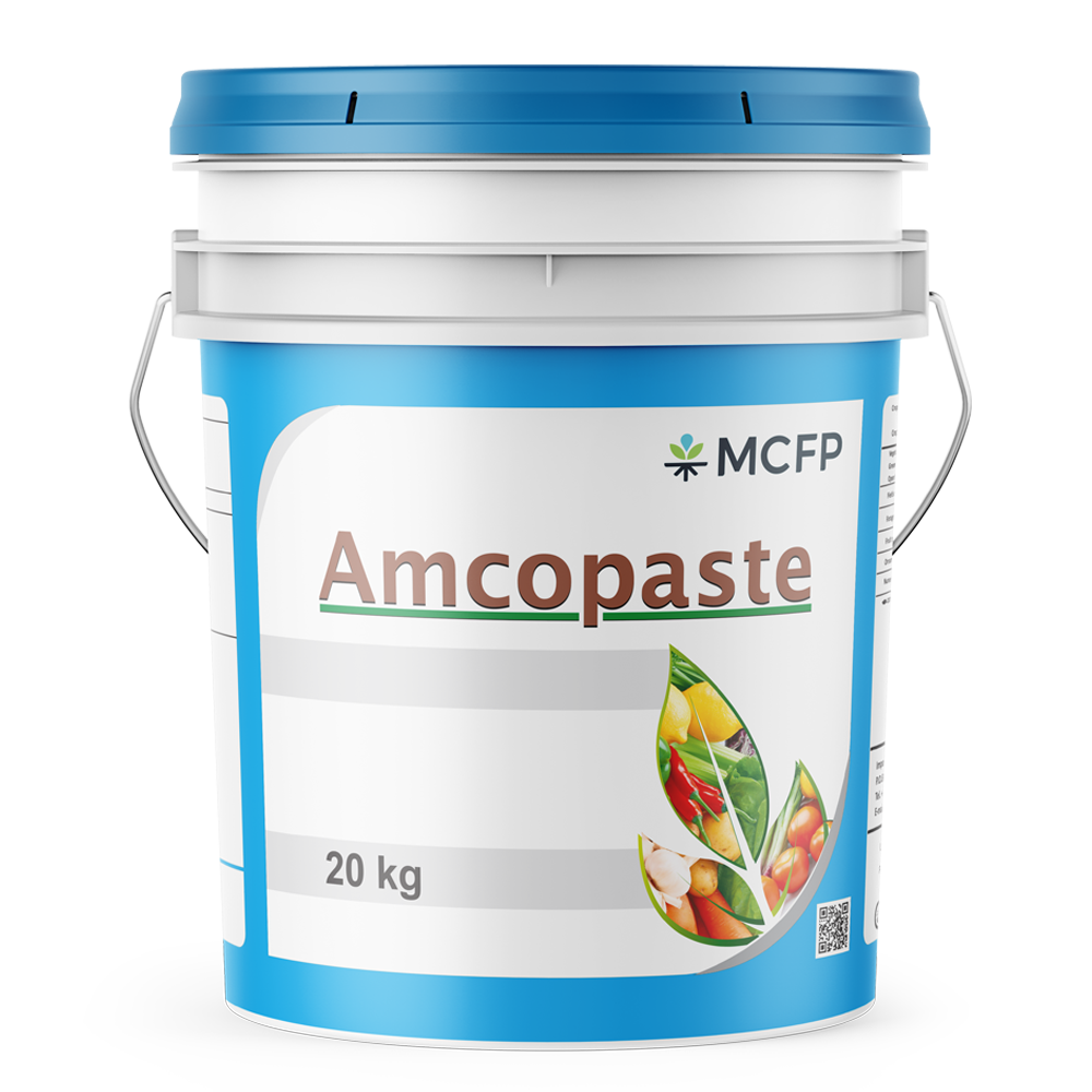 Amcopaste Balanced
