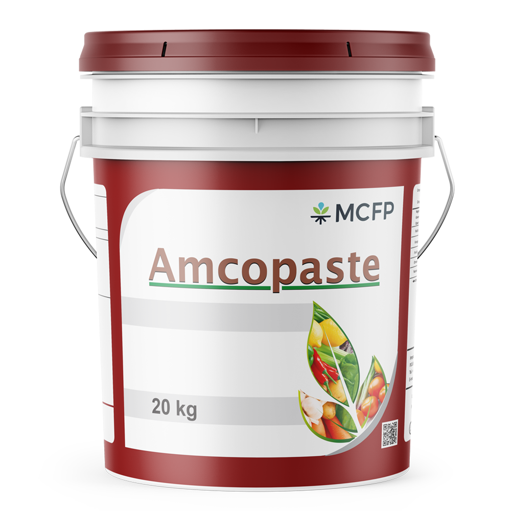 Amcopaste High phosphorus